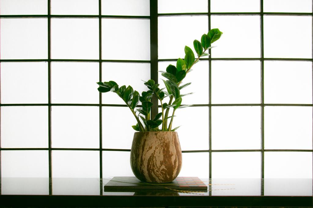 Hosta Nijo Aoi Vila Quioto Exterior foto